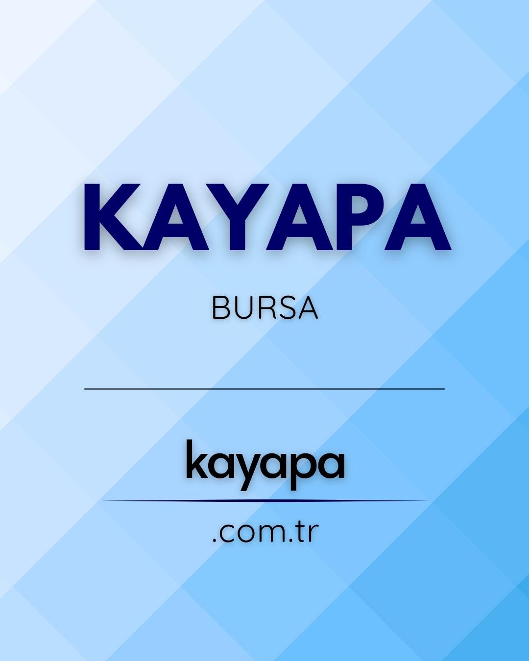 E-Web İnternet Hizmetleri | Kayapa